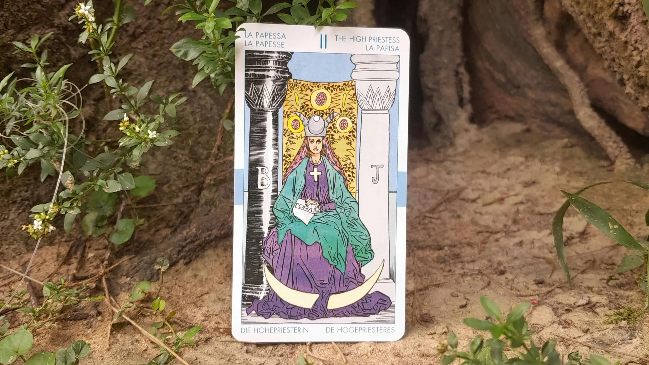 La Papisa (La Sacerdotisa), La Favorita De Las Brujas